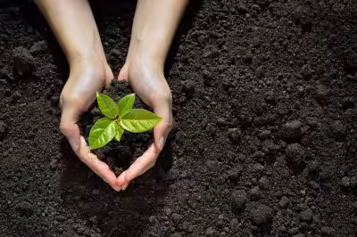 Person holding a plant sparks contemplation on property and liability matters.