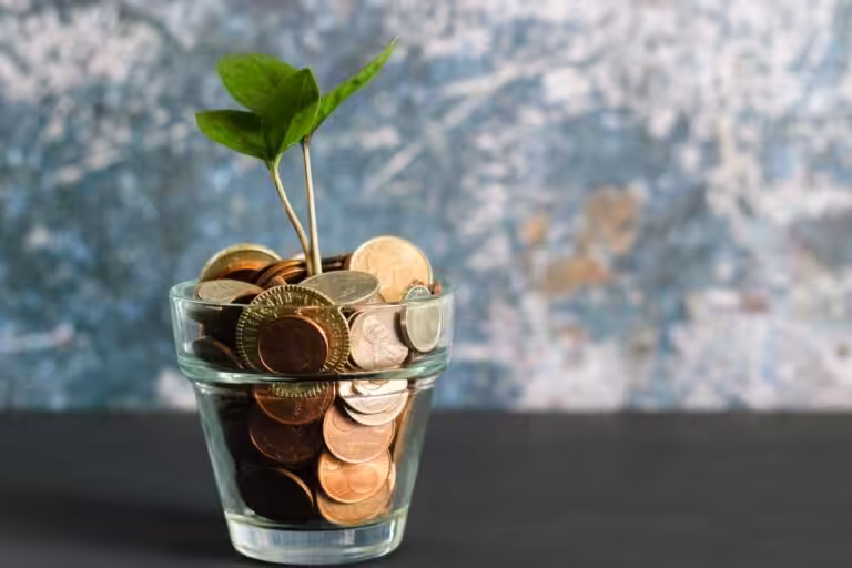 Small glass with a plant as symbolism for new financial year