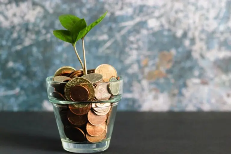 Small glass with a plant as symbolism for new financial year