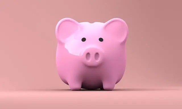 Pink piggy bank on a pink background.