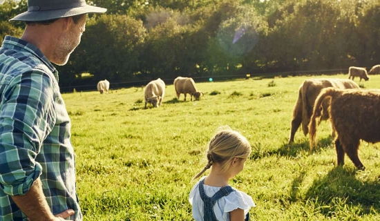 Picturesque farm scene, capturing the timeless bond between a father and daughter in their agricultural pursuits.